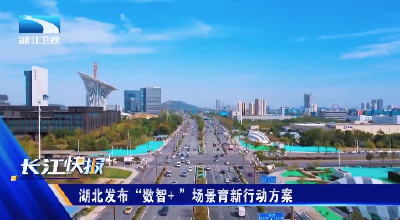 湖北发布“数智+ ”场景育新行动方案