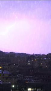 金刚大战巨蟒13