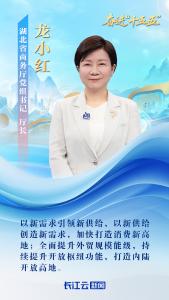 湖北省商务厅党组书记、厅长龙小红：扩内需强开放，绘就发展新图景