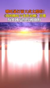 《我的哪吒与变形金刚》圈粉海外网友