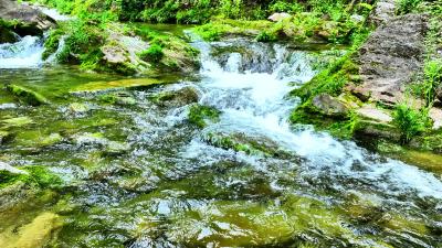 漳河源省级自然保护区
漳河源省级自然保护区
漳河源省级自然保护区
