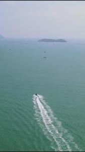 金刚大战巨蟒16