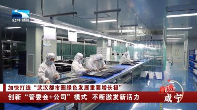 咸宁：创新“管委会+公司”模式 不断激发新活力