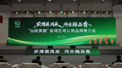 农博展风采 水乡鳝品香
