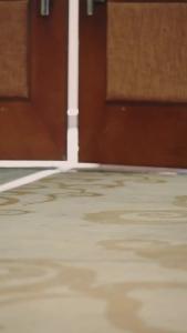 影后老婆离婚后，我火遍全网73