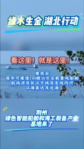荆州绿色智能船舶和海工装备产业基地来了