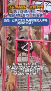 烈犬撕咬路人致死，主人需承担刑责吗？法院判了