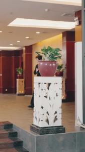 影后老婆离婚后，我火遍全网56