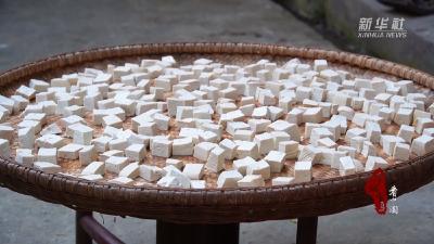 千城百县看中国｜湖北鹤峰：霉豆腐飘香