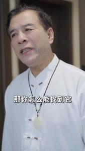 都市极品医仙80