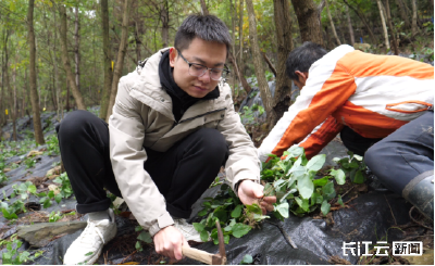 258名！以先锋之力，为支点建功