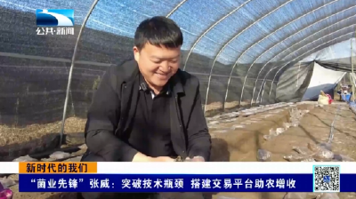 新时代的我们 | “菌业先锋”张威：突破技术瓶颈 搭建交易平台助农增收