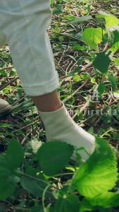 金刚大战巨蟒19