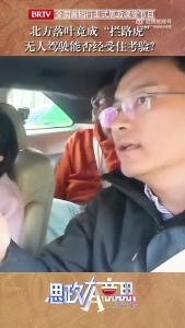 北方落叶竟成“拦路虎”？无人驾驶能否经受住考验？