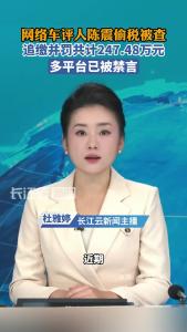 网络车评人陈震偷税被查，多平台已被禁言
