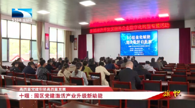 高质量党建引领高质量发展 | 十堰：园区党建激活产业升级新动能