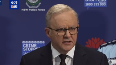 澳大利亚总理：将提出更为严格的枪支法律