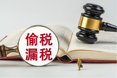 网络车评人陈震偷税被查处