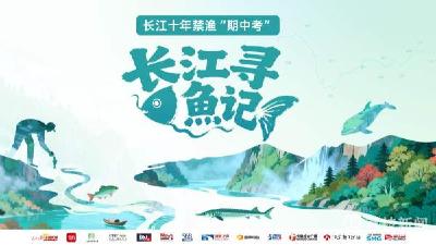 长江寻鱼记｜长江入海口的中华鲟之家