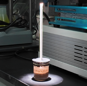 不耗一滴淡水！三分钱吸管“吸干”盐碱地