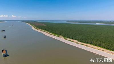 长江干线武汉至重庆4.5米水深航道贯通 5000吨级货轮常年直达重庆