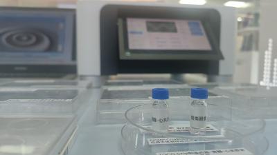 在芯片上“种”出会思考的“大脑”，还能遥控心脏跳动