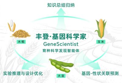 国内首款“AI基因科学家”明年上岗