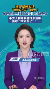 浙江湖州农场“黑脸小羊”爆火！年轻团队用创意解锁打工新姿势