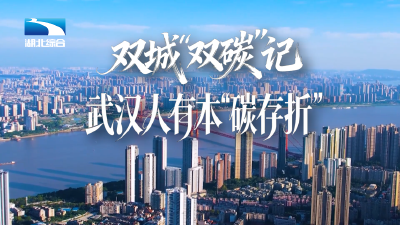 双城“双碳”记｜以前存钱，现在“存碳”？武汉人悄悄有了本“绿色存折”！