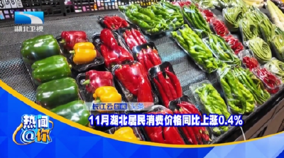 11月湖北居民消费价格同比上涨0.4%