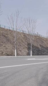 九世轮回我一心求死不能58