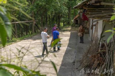 “无中生有”一枚蛋 ——恩施市太阳河乡小鸡“孵”出大产业
