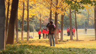 此刻，武汉下起黄金雨！