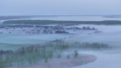 石首麋鹿国家级自然保护区