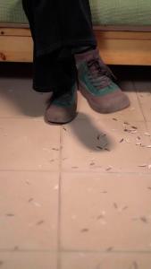 情深不负独念语02