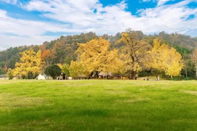 湖北这6个新晋“度假顶流”，承包你的四季美好