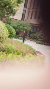 继承者-第9集.mp4