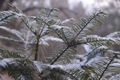 跨年寒潮来袭！多地将迎今冬以来最冷白天