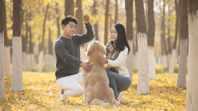 家犬与人类何以如此“长情”？这些动物“冷知识”，看看意外不意外