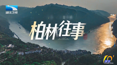 江流不息 | 柏林往事