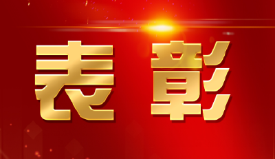 全省表彰！100名个人、70个单位上榜