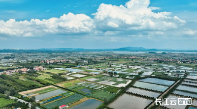 鄂州“鱼米之乡”闪耀湖北农博会：一条武昌鱼的“破圈”之旅