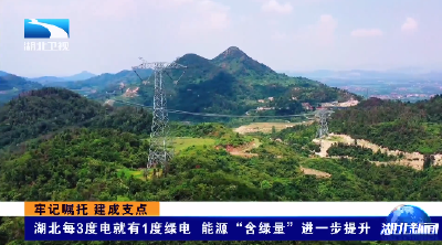 牢记嘱托 建成支点丨湖北每3度电就有1度绿电  能源“含绿量”进一步提升