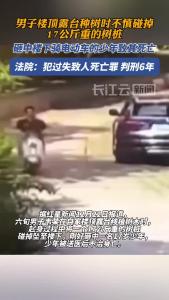 男子楼顶露台种树不慎碰下树桩，砸中楼下少年致其死亡获刑6年