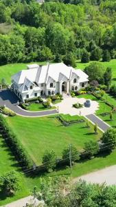 我把双胞胎弄丢了1