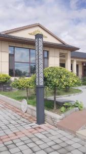 我把双胞胎弄丢了9