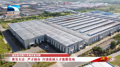 深入学习贯彻党的二十届四中全会精神 | 黄石大冶：产才融合 打造县域人才集聚高地