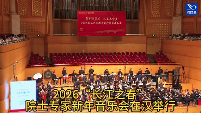 2026长江之春院士专家新年音乐会在汉举行