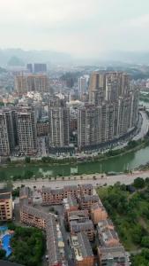 我把双胞胎弄丢了2