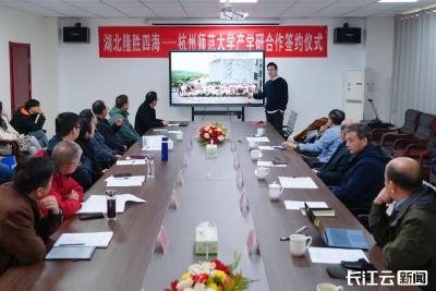 湖北隆胜四海：深化校企合作推动有机硅产业跨越发展